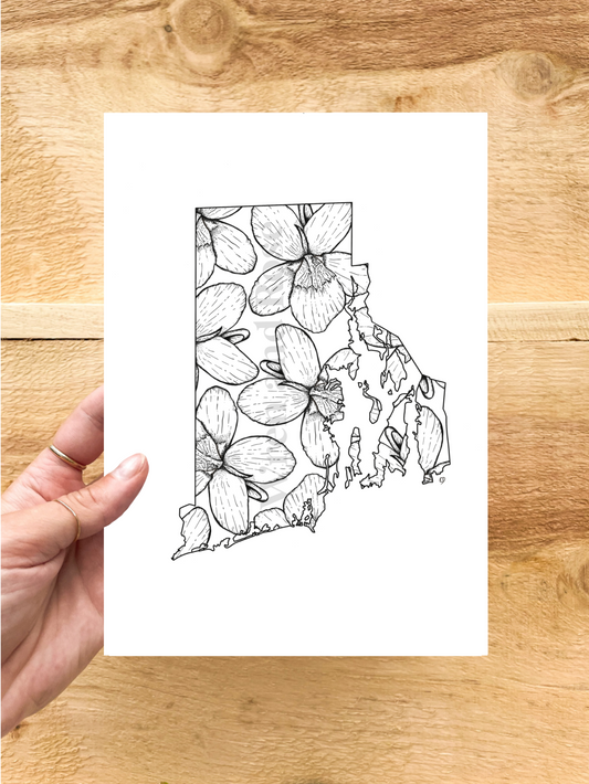 Rhode Island Violet Print (State Flower)