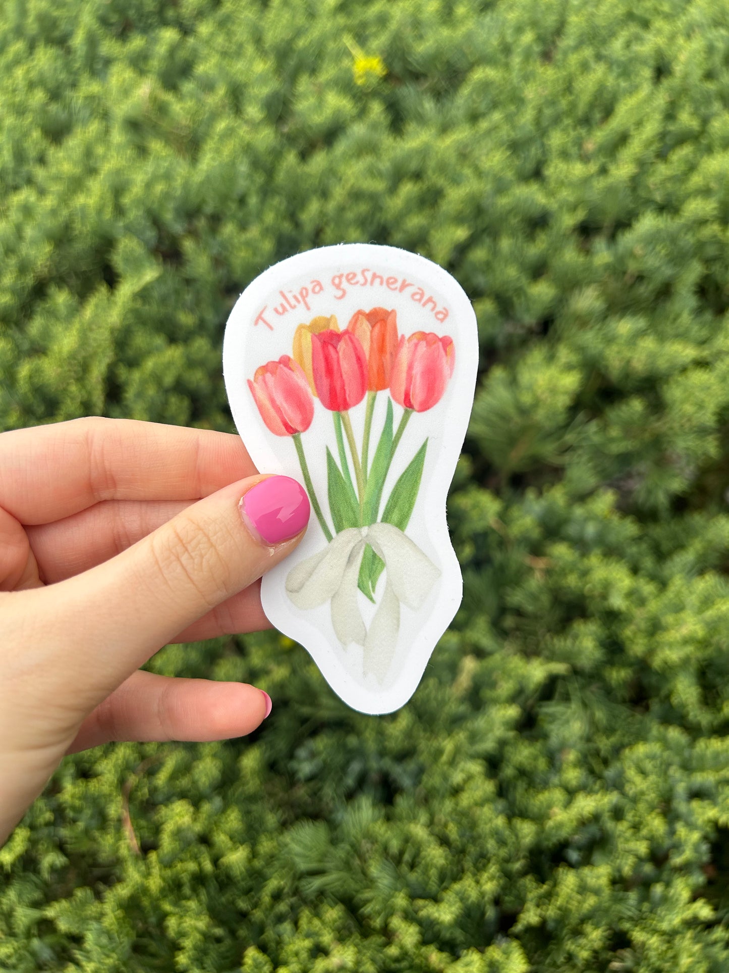 Tulip Sticker