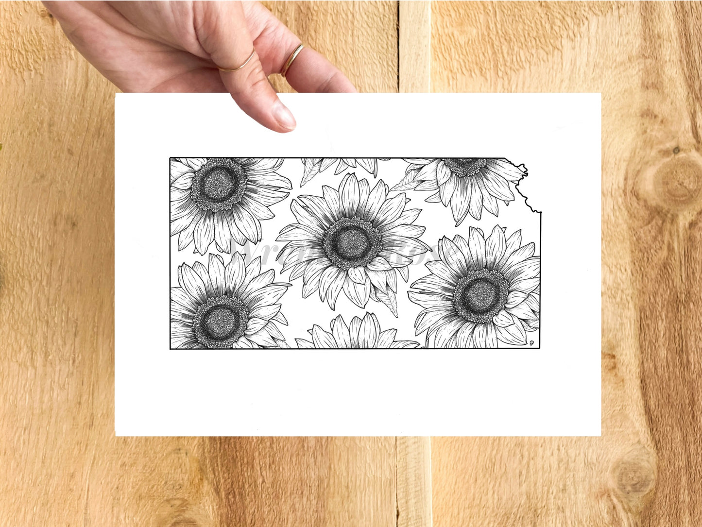 Kansas Sunflower Print (State Flower)